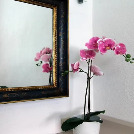 Apartament Grecalotto La Maddalena (Sassari)